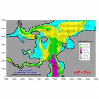 Marine Outfall Studies